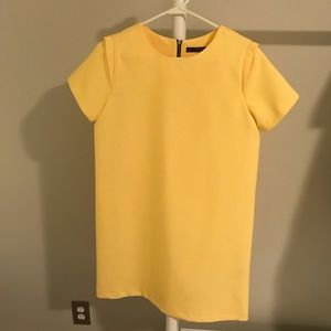 Zara Shift Dress